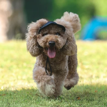 Vară, Plajă Câine De Companie Pălărie, Capac Cu Ureche Găuri În Aer Liber Câine De Baseball Capac De Panza Mic Câine De Protecție Solară Accesorii