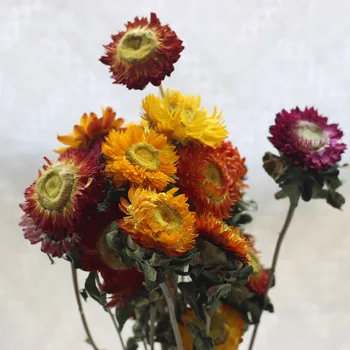 15 buc Din Oferta Speciala Buchet Natural Margarete Gerbera Floarea-soarelui Masă Living Decorare Stil European Și American
