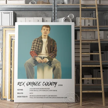 Rex Orange County Poster, Cantareata Orange County Arta De Perete, Muzica De Stele Rex Pictura Pe Perete, Băiat Frumos Portret Imagine, Fanii Cadou