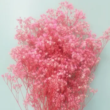 80g/Buchet Colorat Noi Arival Gypsophila paniculata Naturale Uscate, Flori pentru Nunta ,ziua Îndrăgostiților， Acasă , decorare Birou