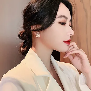 Moda Rafinat Pearl Cercei De Aur Femeie Coreean Temperament Clasic Hipoalergenic Cercei Cristal De Sex Feminin De Bijuterii Cadou