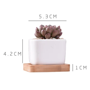 Geometic Ceramica Alba Piața Bonsai Plantat Puțin Suculente Ghivece De Flori Moderne Cactus Mic Ghiveci Tava De Bambus Decor De Birou