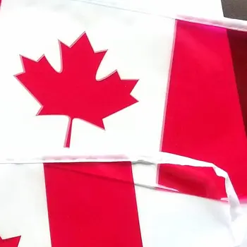 ZXZ Canada drapele steaguri 20buc Fanion POT Canada Șir Banner Presuri Festival Petrecere de Vacanță