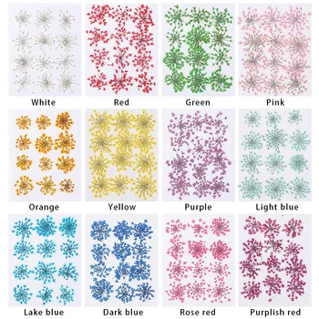 12Pcs/Sac Nou de Colorat Apăsat Daisy Artificiale Uscate de Flori Pandantiv Colier de Bijuterii Rășină de a Face Meserii DIY Arta Accesorii