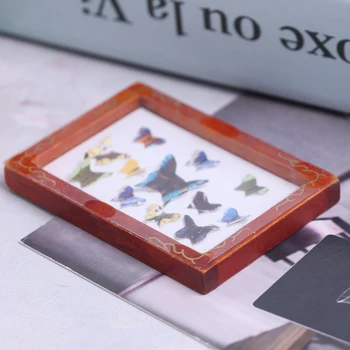 1:12 Epocă Fotografii Înrămate în Miniatură Fluture specimen Papusa Accesorii de Perete Poza noua