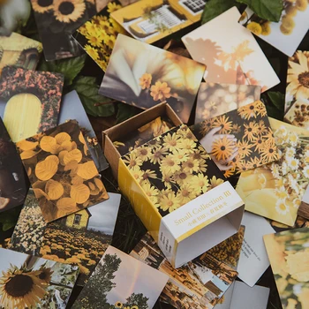 100 Buc Retro Carte de Epocă Planta Flori de Hârtie Kraft Scrapbooking Carte Face Jurnalizare Proiect Diy Jurnal Decor LOMO Carduri