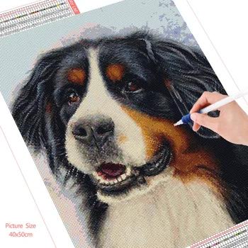 HUACAN Diamant Pictura Bernese Mountain Dog Mozaic Broderie Animal cruciulițe Decor Acasă Autocolante de Perete