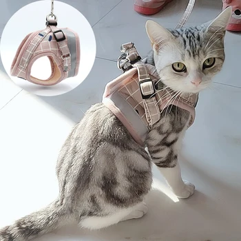 Carouri de moda Cat Hamuri pentru Pisici Vara Plasă de Companie Ham si Lesa Set Katten Kitty Mascotas Produse pentru Gotas Accesorii