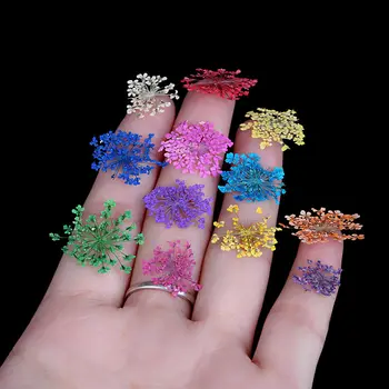 12 de Culoare 3D Decor Real Uscat de Flori Uscate Nail Art Sticker pentru Sfaturi UV Gel Acrilic Unghii DIY Arta Sfaturi Decoratiuni de Arta Unghiilor
