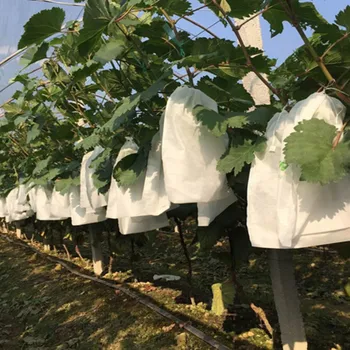 100BUC Plantă de Grădină cu Fructe a Acoperi și Proteja Net Sac de Plasă Împotriva Insectelor Pasăre Dăunătorilor Struguri de Protecție Saci Împotriva Insectelor Husa Mesh
