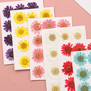 12Pcs/Sac Nou de Colorat Apăsat Daisy Artificiale Uscate de Flori Pandantiv Colier de Bijuterii Rășină de a Face Meserii DIY Arta Accesorii