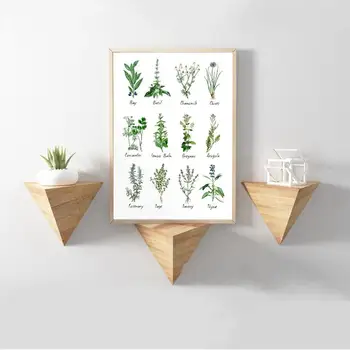 Panza Pictura Botanică Graficul Arta de Perete Printuri Ierburi și Condimente Imagine Ierbar poster Living Modern Decor Acasă