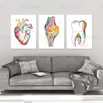 Culoare Panza De Arta Pictura Medicale Anatomia Piciorului Oasele Inima Dinte Schelet Celule Postere Abstracte De Imprimare Perete Imagine Clinică Decor