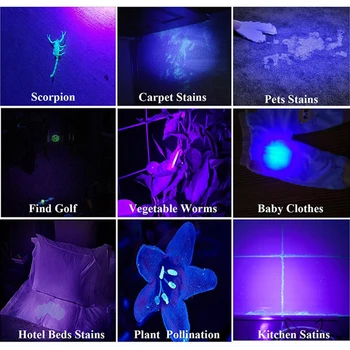 UV cu LED-uri Lanterna Lanterna Mini lanterna Ultraviolete Q5 rezistent la apa 3 Moduri de zoom Focalizare Reglabilă Felinar Portabil Lumina