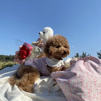 Spring Rose Floare Roz Bichon Teddy Câine Fusta Dantelă Dantelă Câine De Companie Haine Cat Dress Pisica Dantela Rochie Vesta Rose Fusta