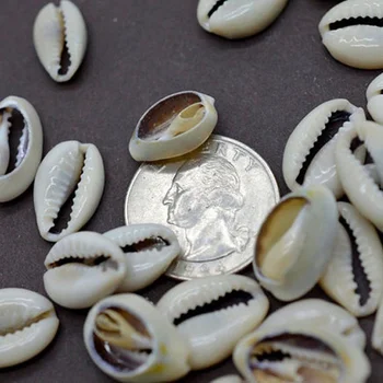 50pcs/set Mic Vrac Taie Strand Mare Naturale Conch Shell Margele Cowry Cowrie Ambarcațiunile de Bijuterii Accesorii Găuri DIY