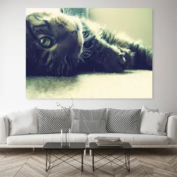 Ulei pe Panza Pictura Pisica Drăguț Animal Postere si Printuri de Arta de Perete Imagine Cuadros pentru Dormitor, Camera de zi de Decorare Acasă Neînrămate