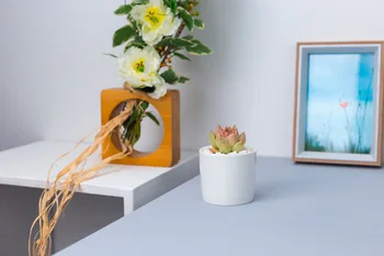 TECHOME Noi Acasă Decorare Grădină Cameră Desktop Rotund Ceramice, Ghivece de Flori Mici de 6.5 cm Diametru Ghivece de Flori Catcus Plantat