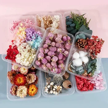 1 Cutie De Colorat Real De Flori Uscate De Plante Pentru Aromaterapie Lumânare Epoxidice Rășină Pandantiv Colier Bijuterii De Luare De Artizanat Diy Accesorii