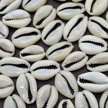 50pcs/set Mic Vrac Taie Strand Mare Naturale Conch Shell Margele Cowry Cowrie Ambarcațiunile de Bijuterii Accesorii Găuri DIY