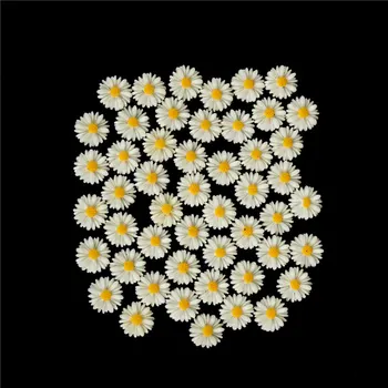 50 de Bucăți 13mm DIY Alb Daisy Floare Rasina Flatback Cabochon Bijuterii Telefon Decorare Nici o Gaură Decor Acasă