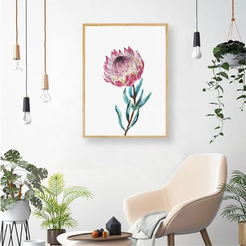 Panza Pictura Protea Botanică Flori Arta de Perete Mare de flori, Postere Si Printuri de Perete Imaginile pentru Home Decor Acasă