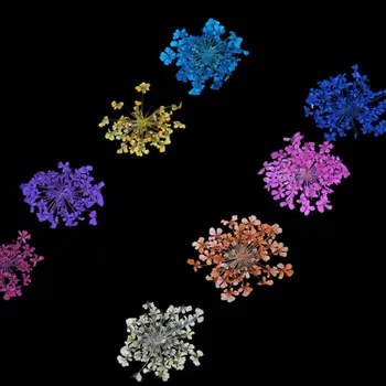 12 de Culoare 3D Decor Real Uscat de Flori Uscate Nail Art Sticker pentru Sfaturi UV Gel Acrilic Unghii DIY Arta Sfaturi Decoratiuni de Arta Unghiilor