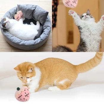 Jucarie Pisica Mini Cat De Slefuire Catnip Jucarii Interactive Amuzante De Plus Cat Dinti Jucării Pisoi Animale De Companie Jucărie De Mestecat Gheare Degetul Mare Muscatura De Aprovizionare Pentru Animale De Companie