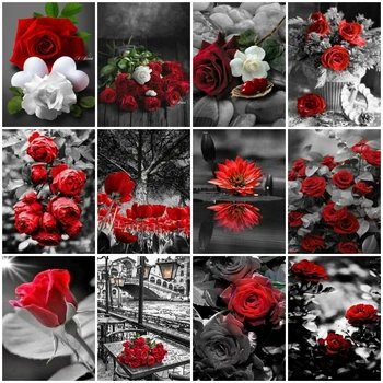 AZQSD Pictura De Numere Trandafir Negru Și Roșu Handpainted de Colorat Cu Numere de Flori Decoratiuni de Perete Camera de zi Vopsea pe bază de Acril