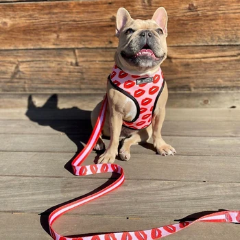 SUPREPET Respirabil Câine de Companie Pectorali Guler Plasă de Drăguț Ham pentru Dihori Mediu Ham Anti Trage Chihuahua Accesorii