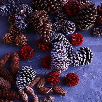 6Pcs Minunat Naturale, Flori Uscate, conuri de Brad Serie de Decoratiuni de Craciun pentru Casa Cadouri diy Cutie Plante Artificiale Navidad