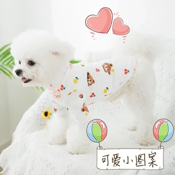 Haine de câine Poarte Îmbrăcăminte pentru animale de Companie pentru Câini foarte Mici Tricouri Drăguț desen Animat de Imprimare Catelus Primavara-Vara Fructe Colorate Ropa Para Perro