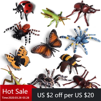 De Vânzare La Cald Animale Insecte Model Fluture Lăcustă Spider Cifrele De Acțiune Mantis Figurina De Albine Miniaturale Jucărie De Învățământ Pentru Copii
