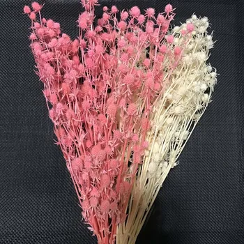 35-40CM/Real Naturale Eternelle Flori Uscate de Telina Buchet,Conservate Valentine ' s Fructe Pentru Nunta, Decoratiuni,Decor Acasă